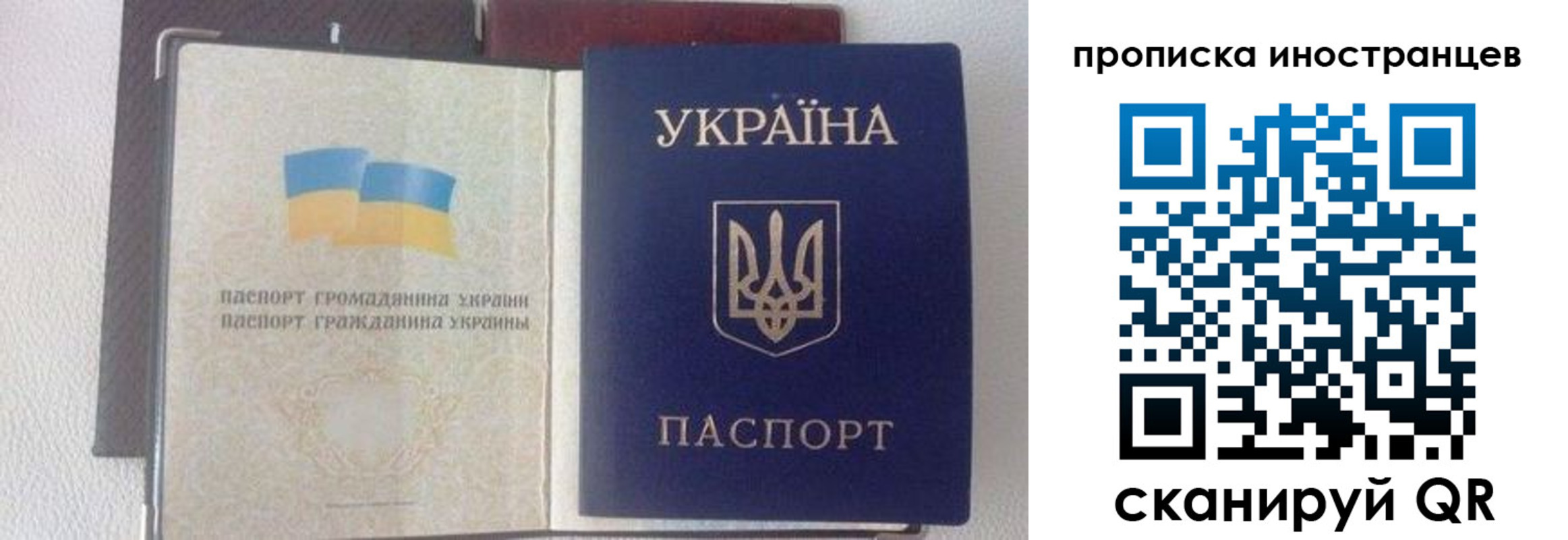 регистрация в Тереке